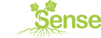 Vinsense Logo